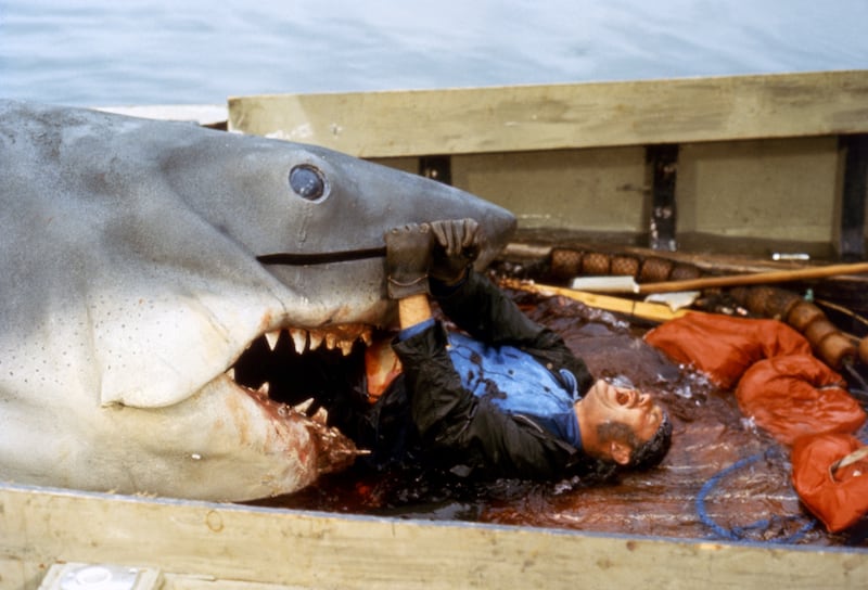 Robert Shaw is attacked by the shark in "Jaws."