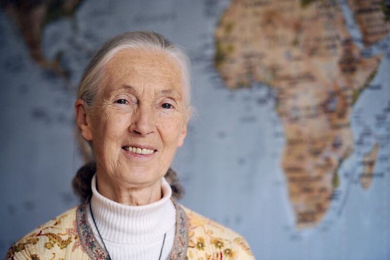 articles/2014/04/09/how-i-write-jane-goodall/140508-HIW-jane-goodall-tease_hxbmvy