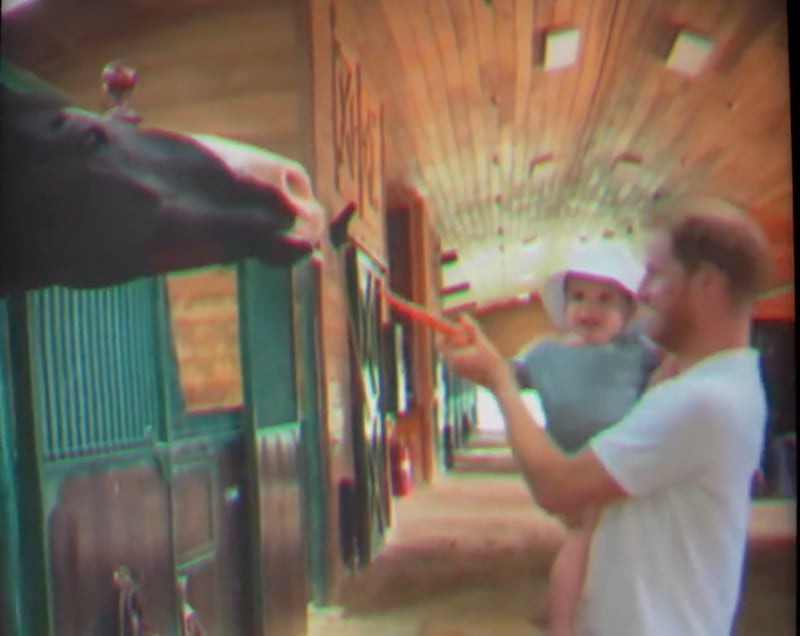 Harry and child feeding a horse.