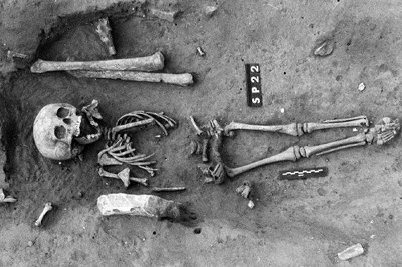 articles/2014/07/22/living-with-disability-in-the-dark-ages/140720-Picciuto-disabilities-embed_vcgsaf