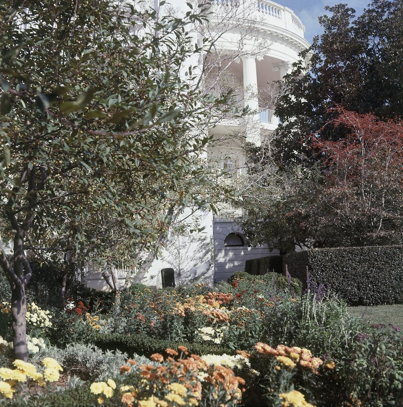 Rose Garden 1967