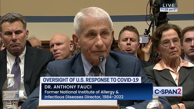 Brandon Fellows, right, makes faces as Dr. Anthony Fauci testifies during a congressional hearing.