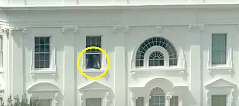 Window.