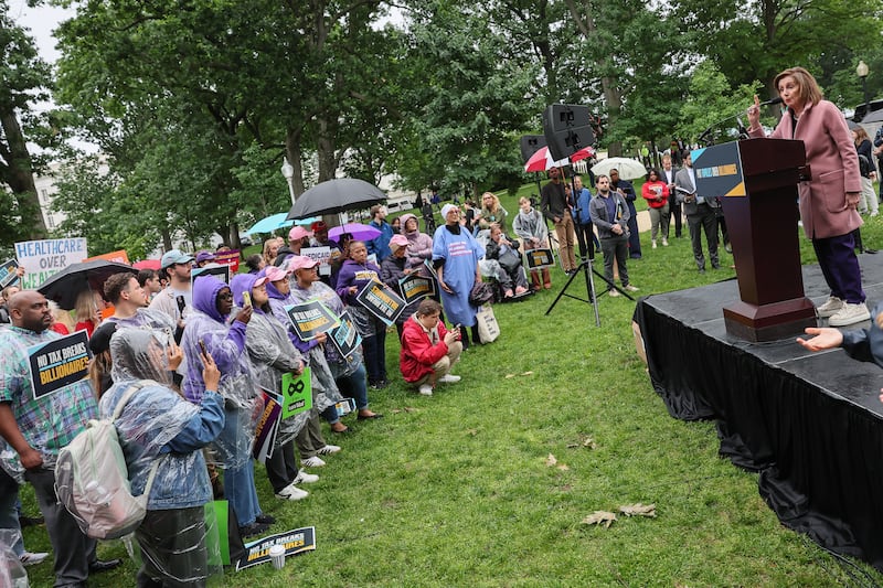 Nancy Pelosi speak to a group of protesters on Capitol Hill.