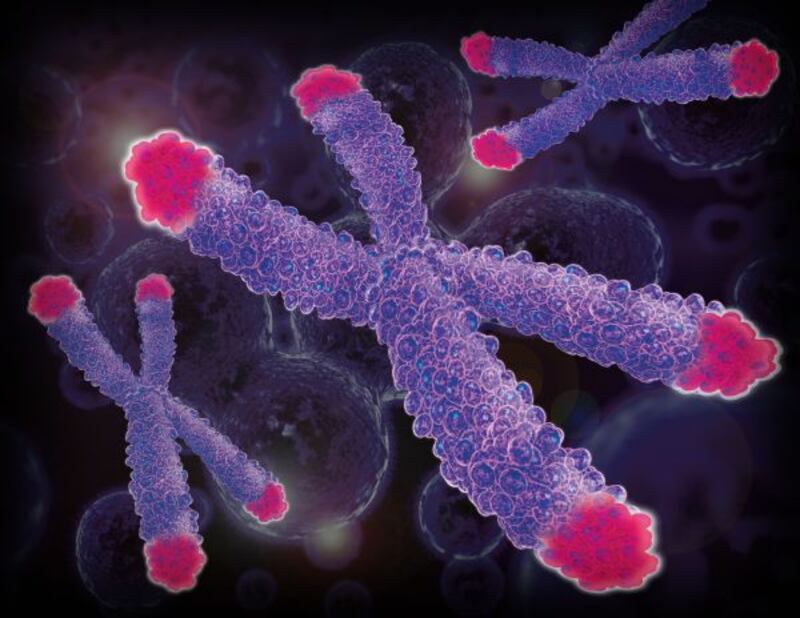spectraCell_telomere1_resized__zpthvi