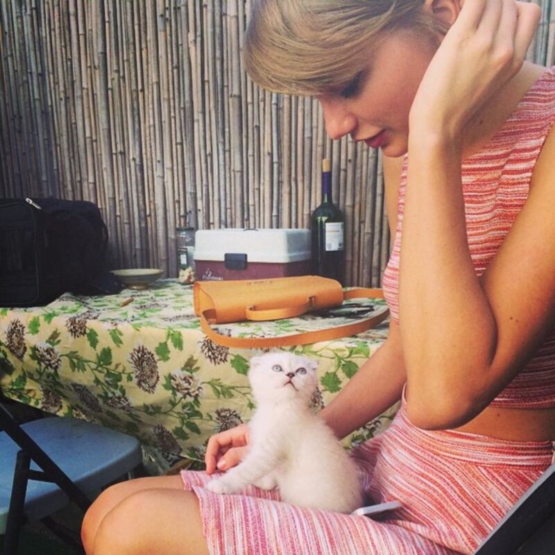 galleries/2014/06/22/the-11-best-fashion-instagrams/140620-fashion-instagrams-swift_k8d9vu