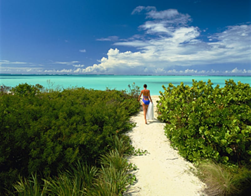 articles/2011/02/20/travel-guide-to-turks-and-caicos/hunt-turks-caicos_161222_r6aohz