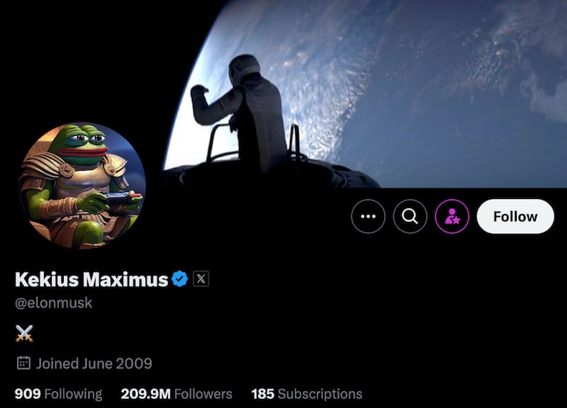 Screenshot/X/Elon Musk