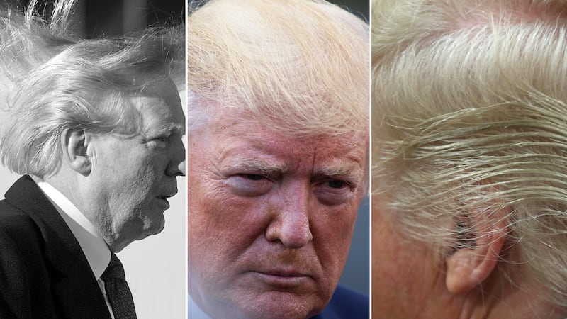 Trumps Hair