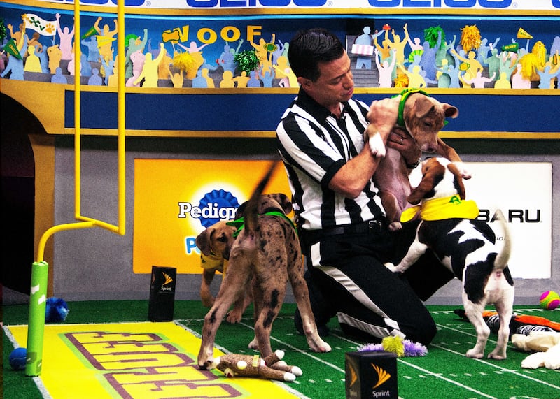 190203-fallon-puppy-bowl-11_mlhz00