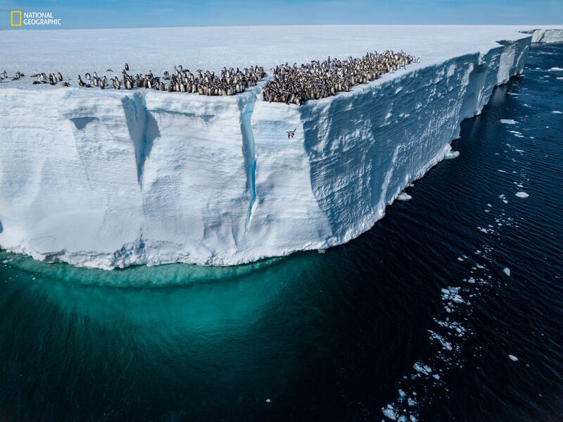 National Geographic best pictures of the year