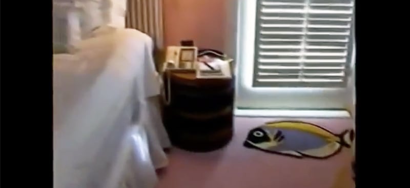 A colorful flounder features on a decorative rug in a guest bedroom in Jeffrey Epstein's Palm Beach mansion.