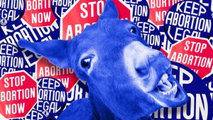 210914-brodey-dems-states-tease_sjupxq