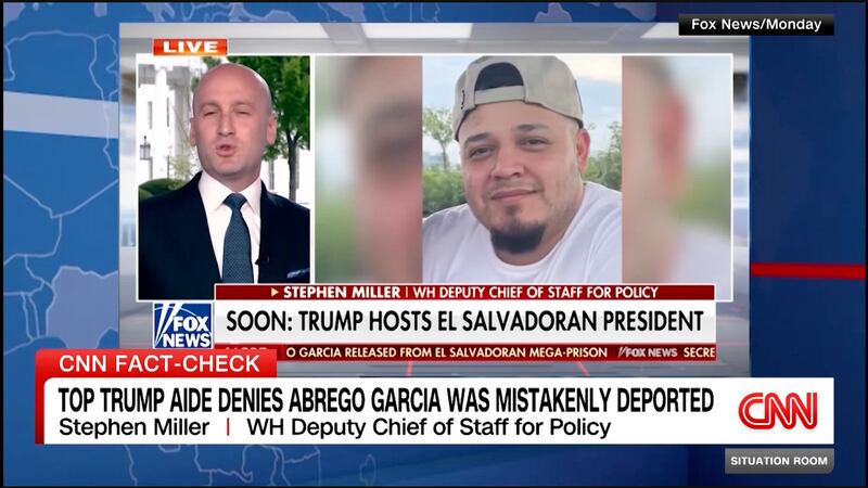 Stephen Miller on Fox