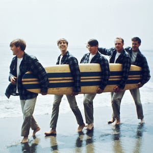 Brian Wilson, The Beach Boys