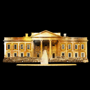 White House covered in gold