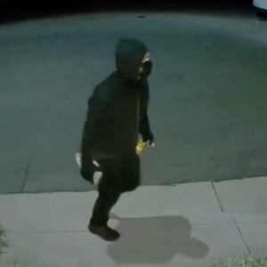 Suspect pictured with rock in hand.