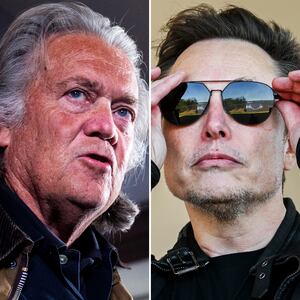 Steve Bannon and Elon Musk.