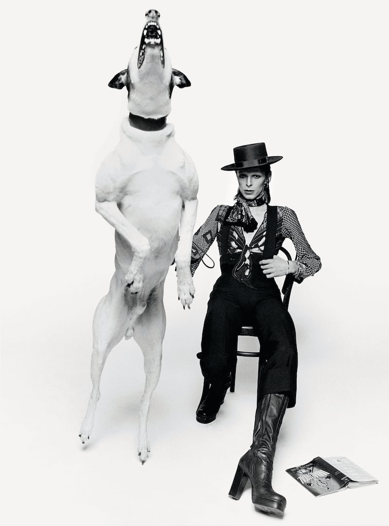 201113-stern-bowie-embed7_qauo74