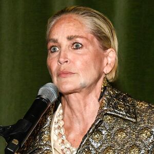 Sharon Stone hosts the Bailey House's 2023 Art House benefit