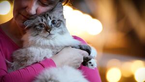 GettyImages-1125849650_numaxp