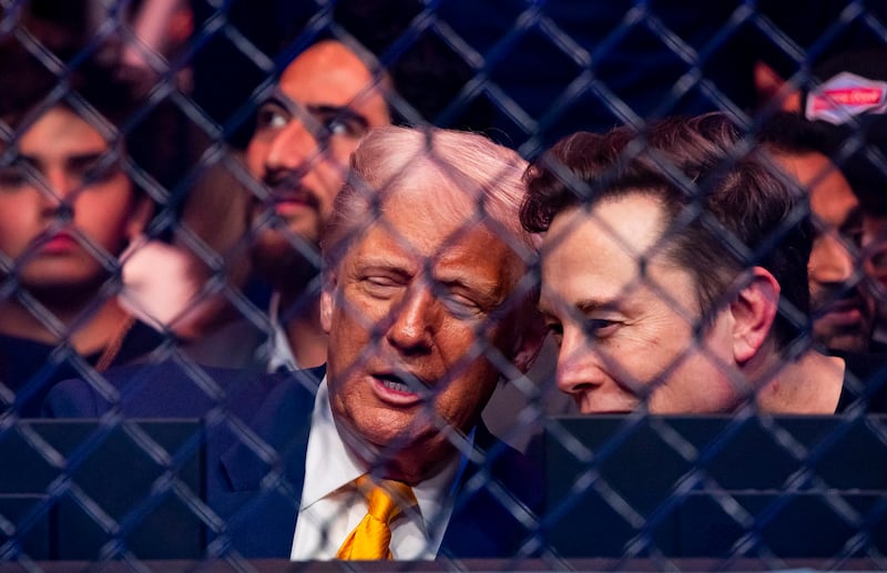 Trump and Musk talking behind a wire fence.