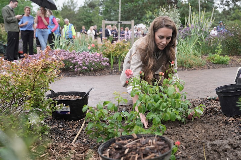 Kate Middleton