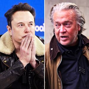 Elon Musk and Steve Bannon.