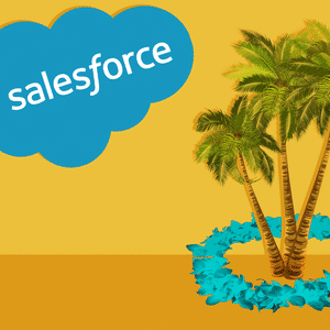 Illustration of a palm tree being lassoed by a lei, with a "Salesforce" logo in background