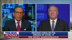 fox-news-sunday-chris-wallace_30_xmdc7v