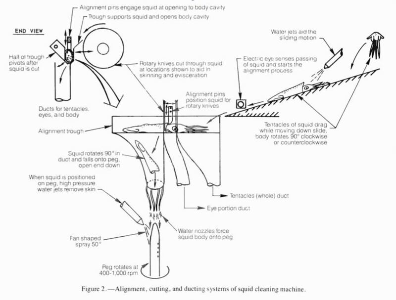190328-squid-embed2_y8erlc