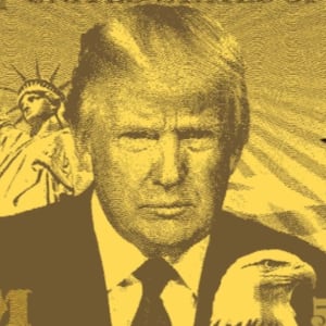Screenshot of the $5 Million Trump Card.