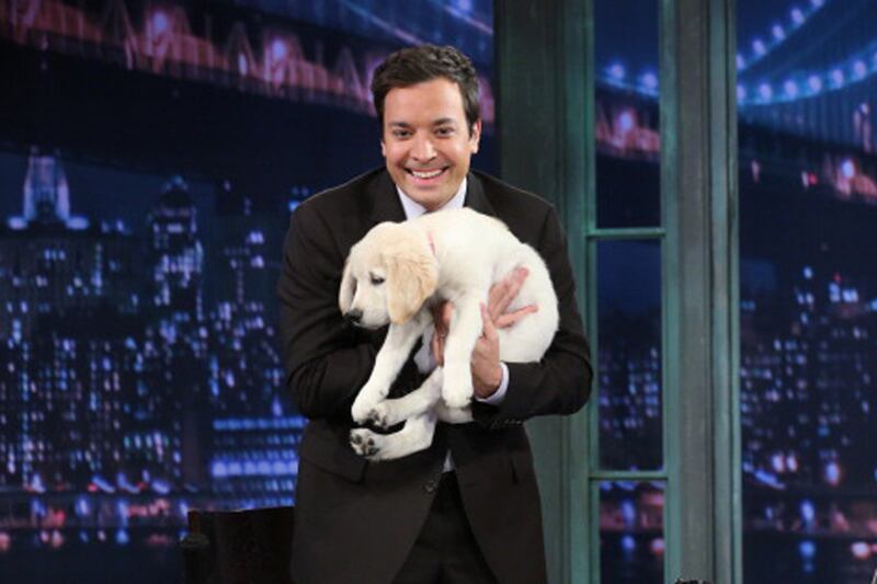 galleries/2012/11/03/blake-lively-usher-more-celebrities-crazy-about-their-dogs-photos/jimmy-fallon-celeb-dogs_h6qdkl
