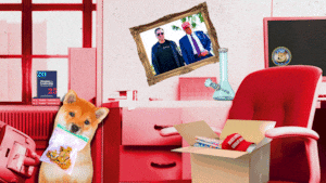 DOGE office photo gif