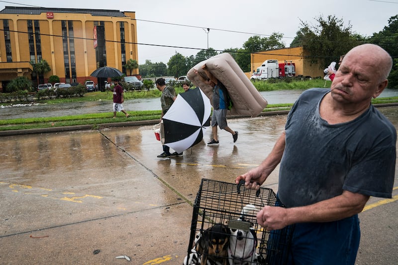 170828-harvey-pets-07_oalvzb