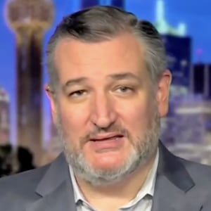 Cruz is firmly in this camp, telling Fox News’s Sean Hannity on Wednesday evening that Americans should be expressing deep gratitude to Musk and chanting “thank you, thank you, thank you!”