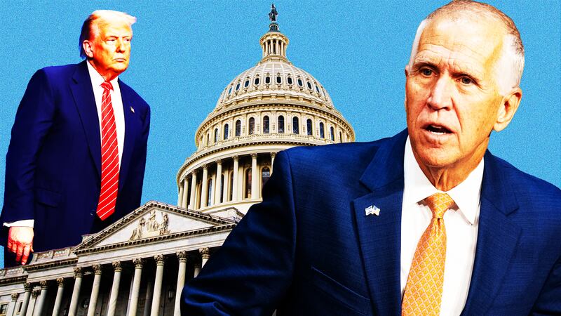 Thom Tillis, Donald Trump