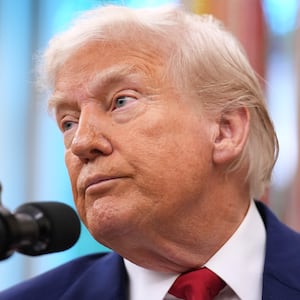 President Donald Trump's "big, beautiful bill" is under fire from a growing number of Republicans who have sided with Elon Musk who called it "disappointing."