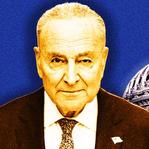 Chuck Schumer illustration