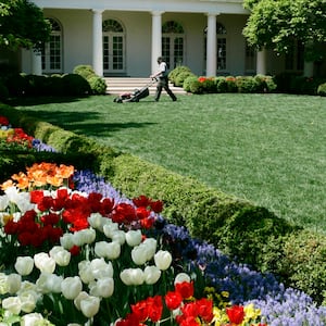 Rose Garde/ Mar-a-Lago split