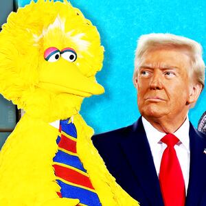 Donald Trump, Big Bird illustration