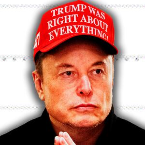 Elon Musk, Tesla stock composite