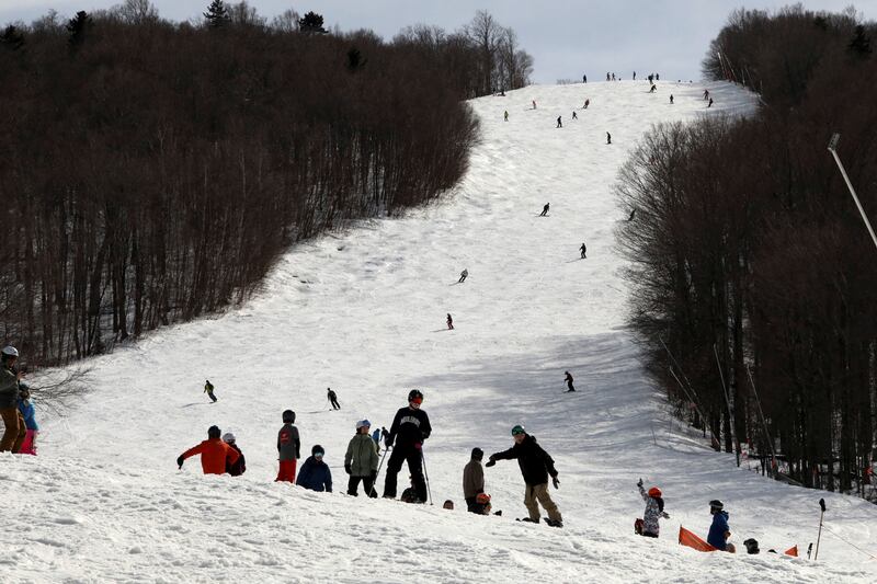 Sugarbush
