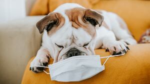 GettyImages-1214627036_p3fha7