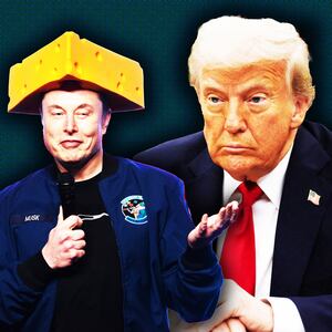 Elon Musk, Donald Trump photo illustration