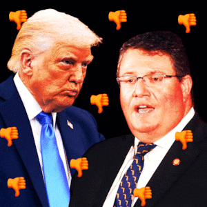 An animated gif of Donald Trump and Florida State Senator Randy Fine with thumbs down emojis.