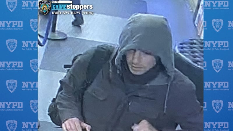 Suspected Shooter