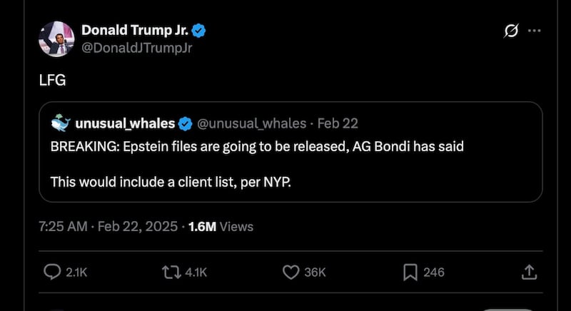 Donald Trump Jr. X post about Epstein files.
