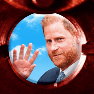 Prince Harry caught on Ring doorbell.