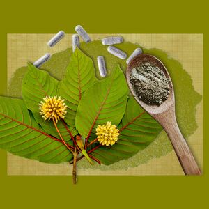230228-kratom-opioid-tease_flwljj